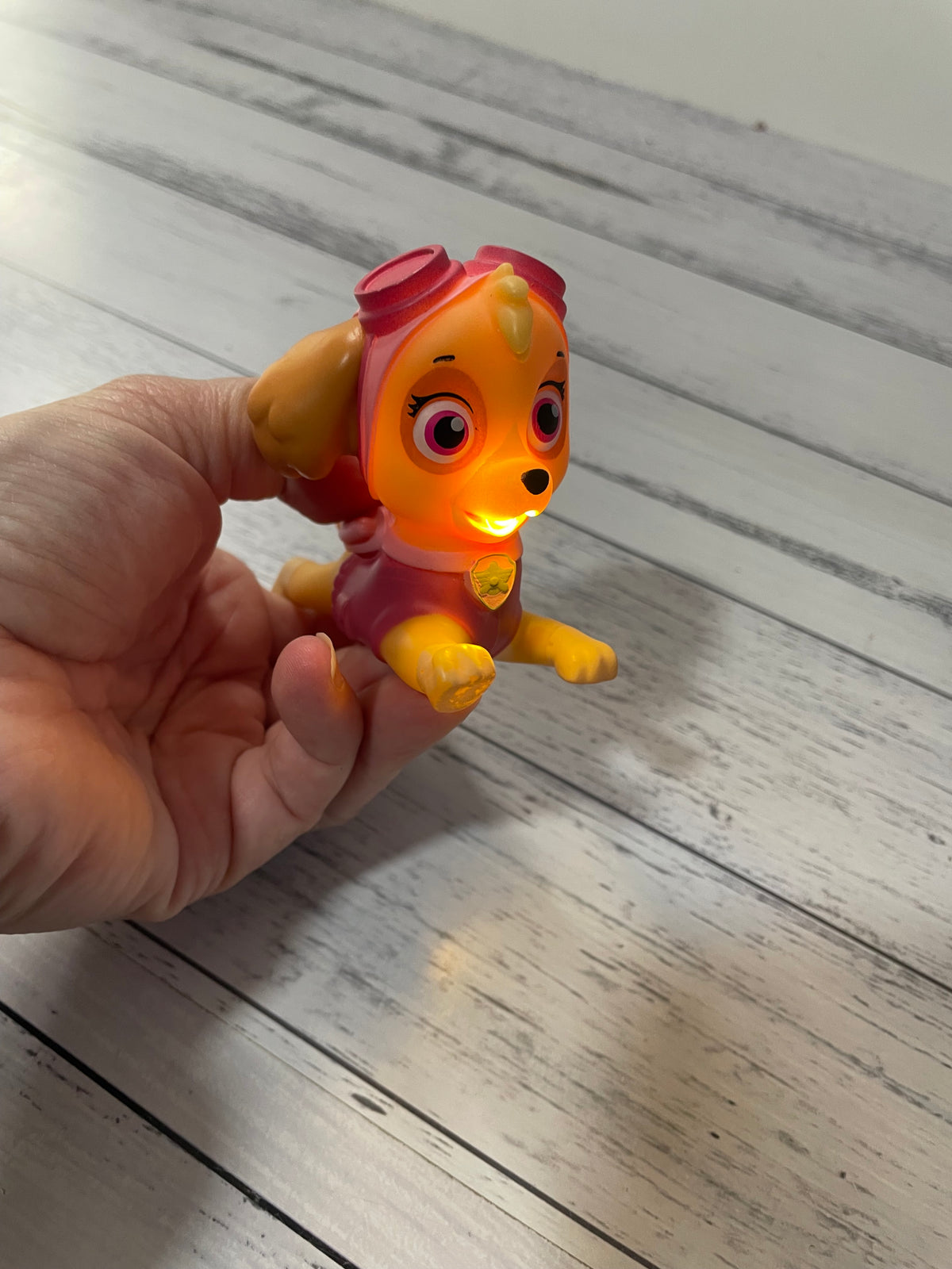 Paw Patrol Skye Light