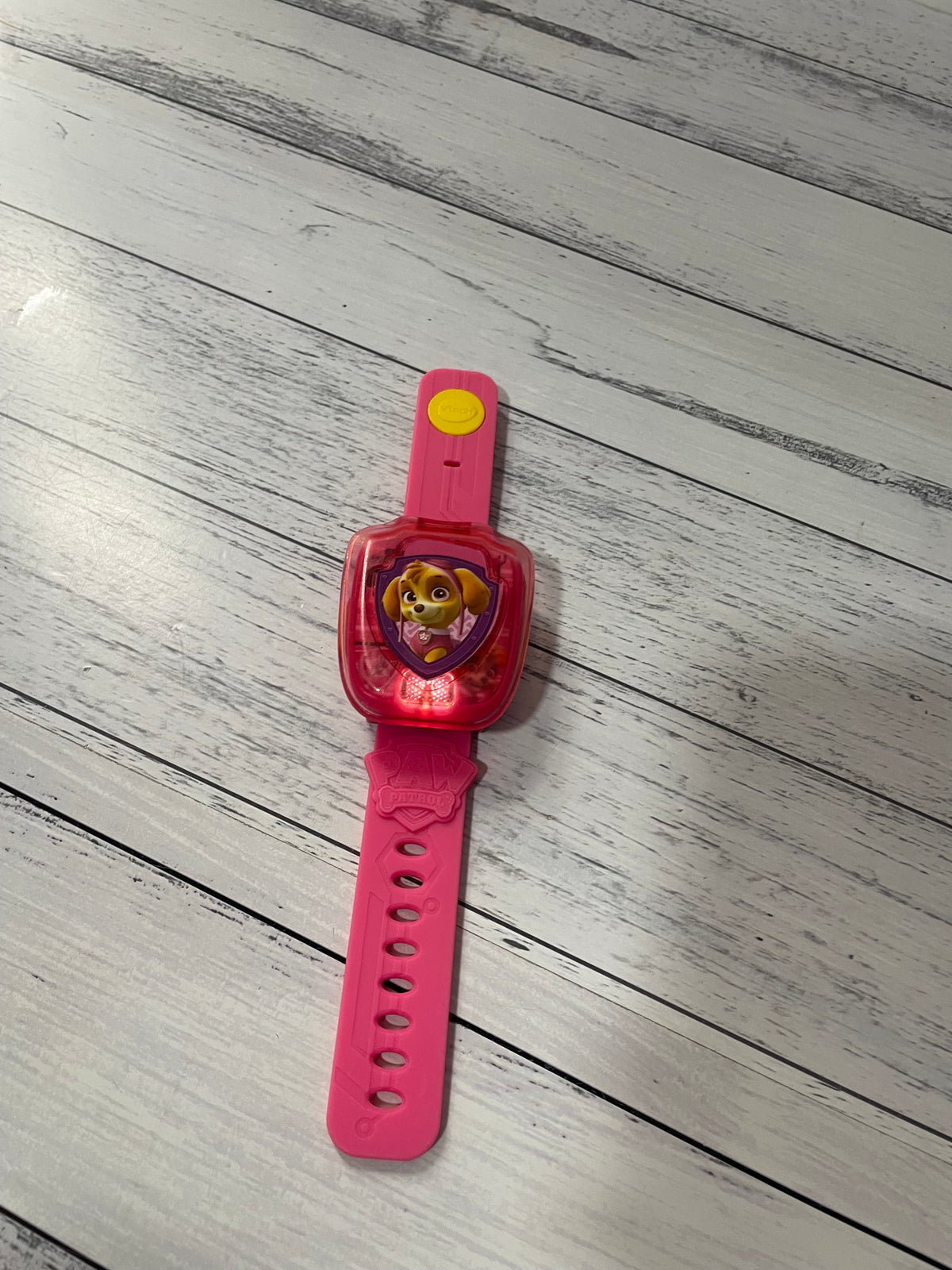 Paw Patrol Skye Watch